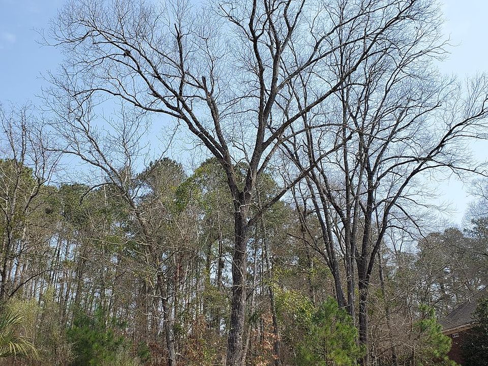 2nd image of 141 Glen Haven Cir