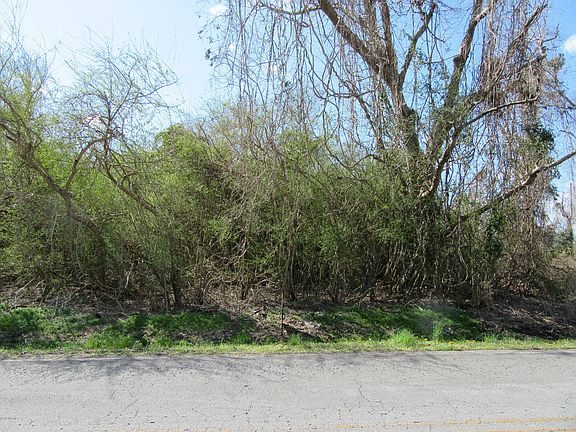 3rd image of 250 Alligator Loop Road LOT Tract 1-A