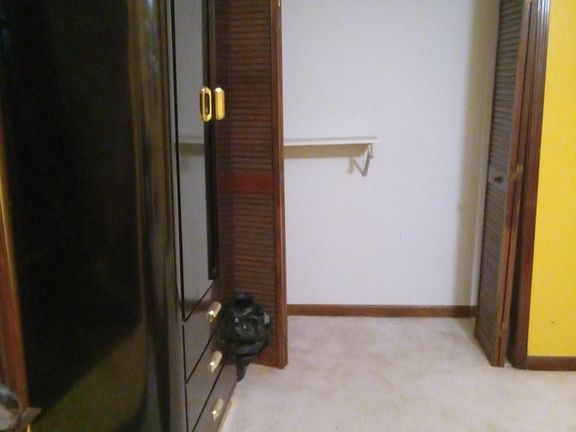 Room 1 Closet