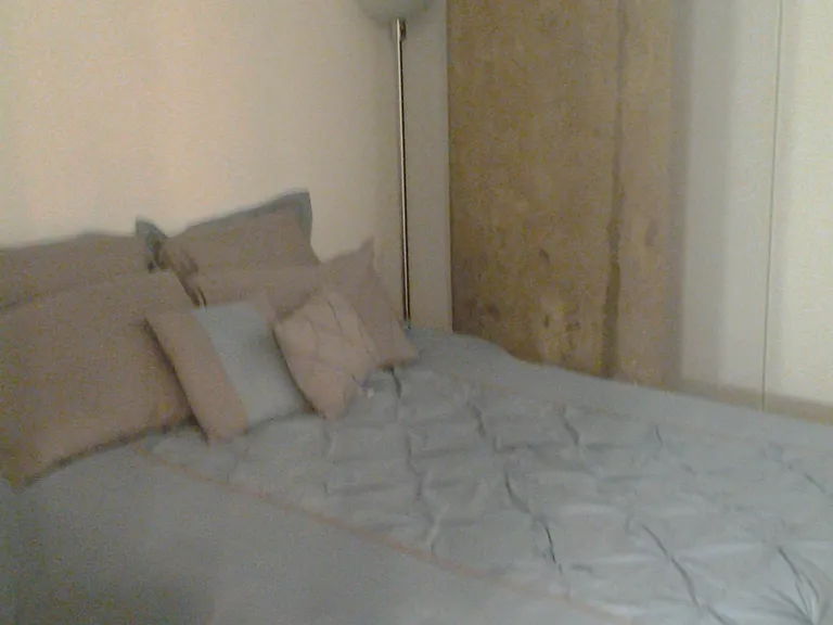 1550 S Blue Island Ave #617 — Photo 5