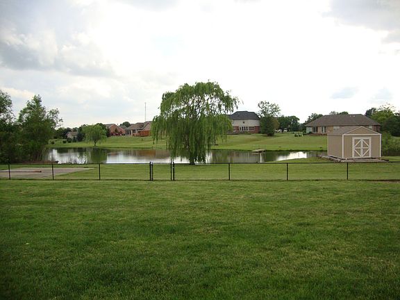 View Of Pond