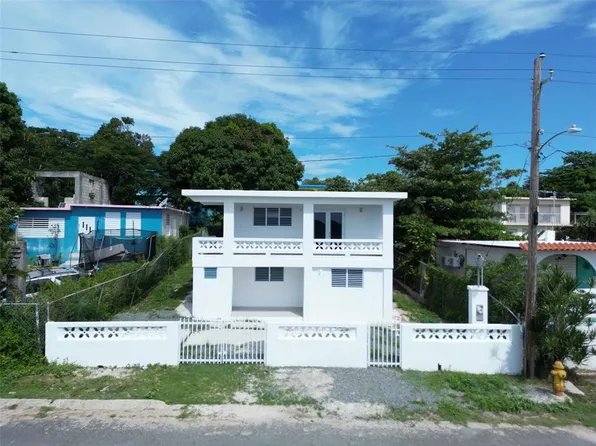 387 Bromelias, Vieques, PR 00765