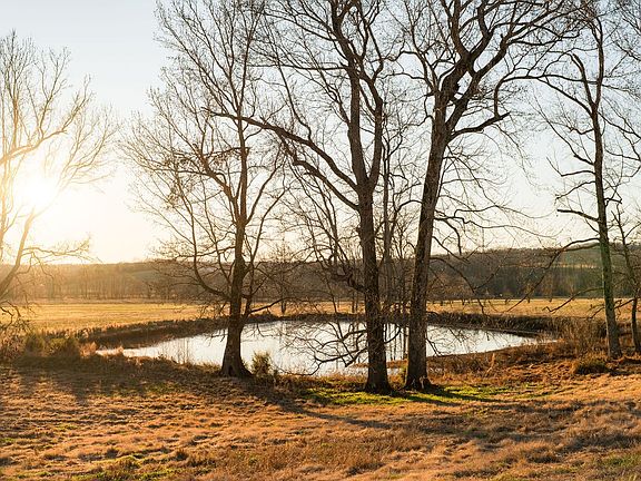 62nd image of this home