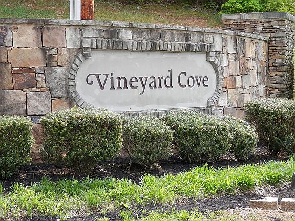 Vineyard Cove