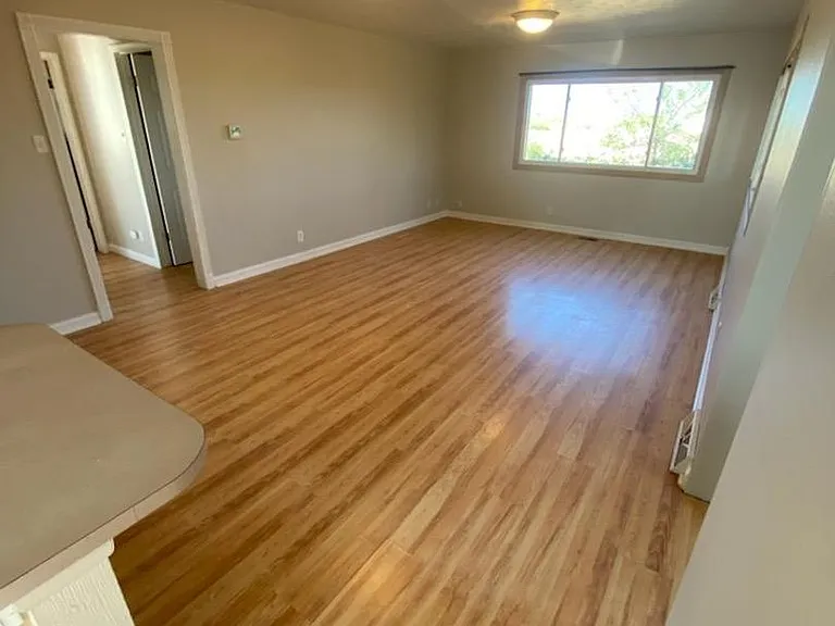 17234 County Road 80 — Photo 10
