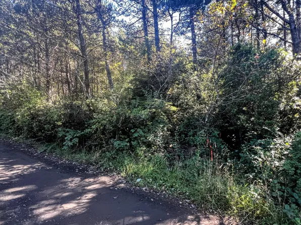 Tl 1700 Sw Tillicum Dr, Waldport, OR 97394