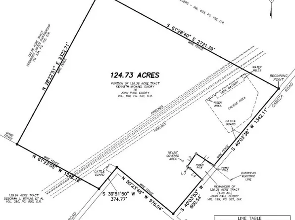 4363 Cabeza Rd, Nordheim, TX 78141