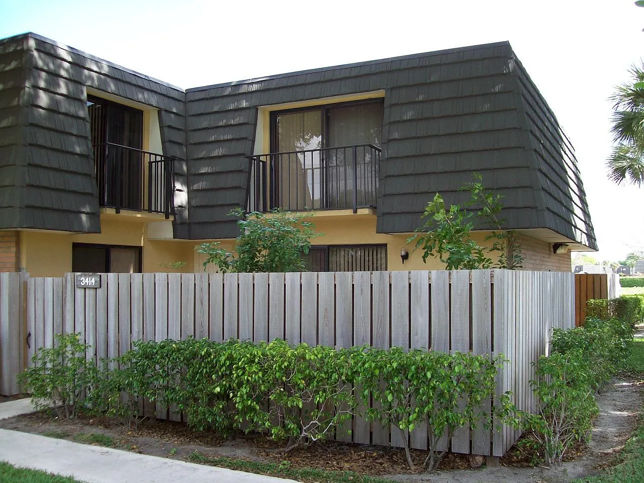 Sandalwood — Photo 2