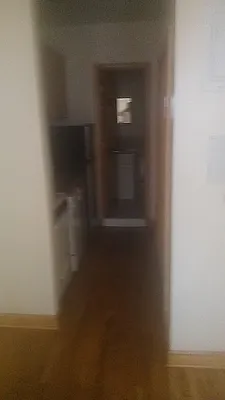 Rented by DAF Properties | media 32