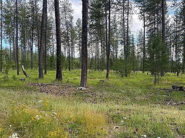 151XX E Oregon Rd Parcel 49111.9067, Elk, WA 99009