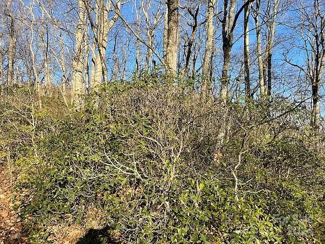 2nd image of 0 E Poplar Dr #25