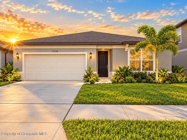 11226 Sycamore Glen Loop, Thonotosassa, FL 33592