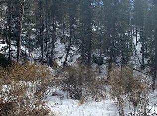 494 W Bison Creek Trl, Florissant, CO 80816