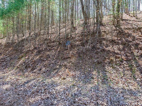 2nd image of 0 Laurel Woods