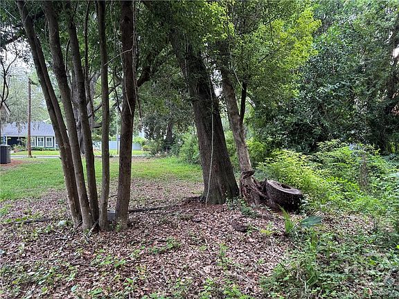 5th image of 503 Durant Avenue