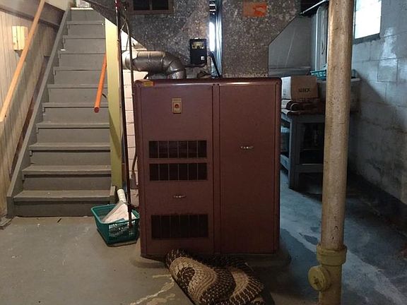 4th image of 1428 Douglas Ave