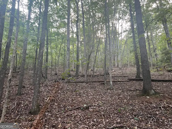 0 Rockfence Rd, Adairsville, GA 30103