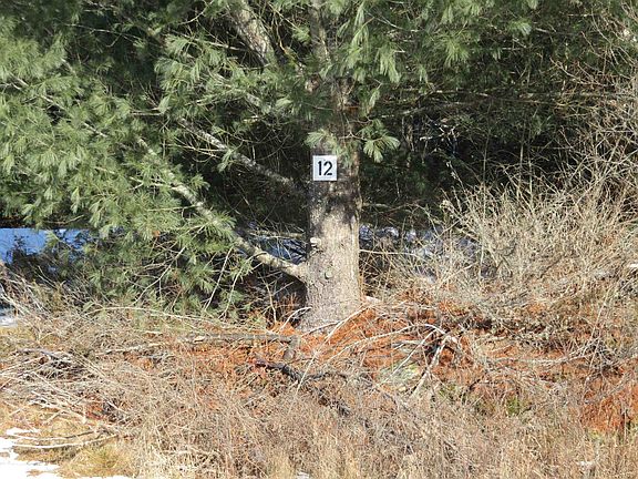 2nd image of 12 Dove Lane Lot 12