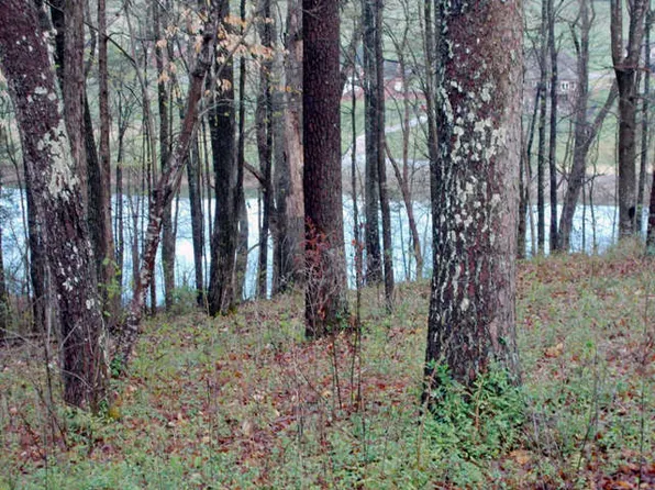 Tranquility Ln, Sevierville, TN 37876