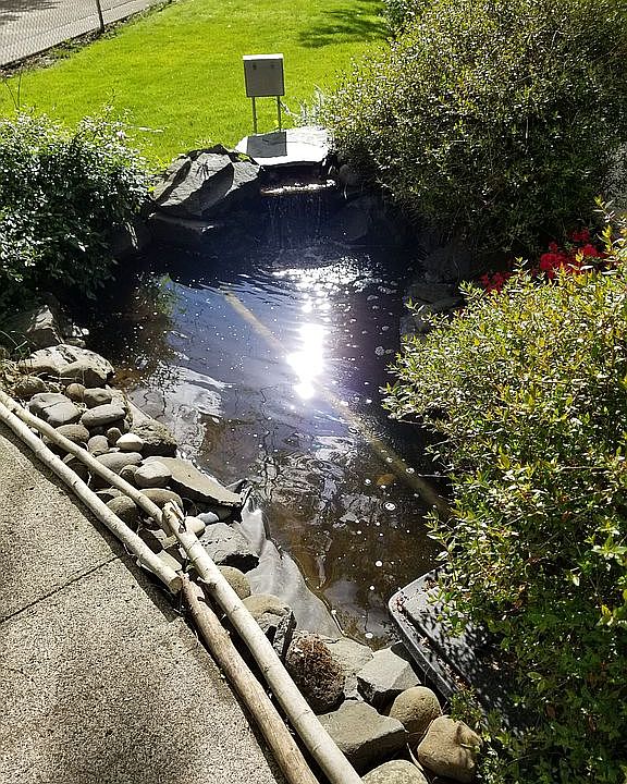 koi pond in front yard