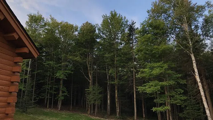1072 Burrington Hill Rd — Photo 19