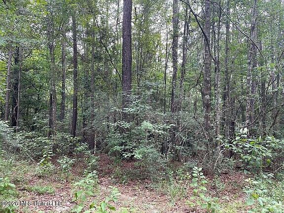 2nd image of 0 Highway 439 Ln