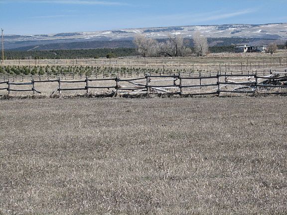 3rd image of 5 Ac Lot 21 Cedar Dr Norwood Garden Estates