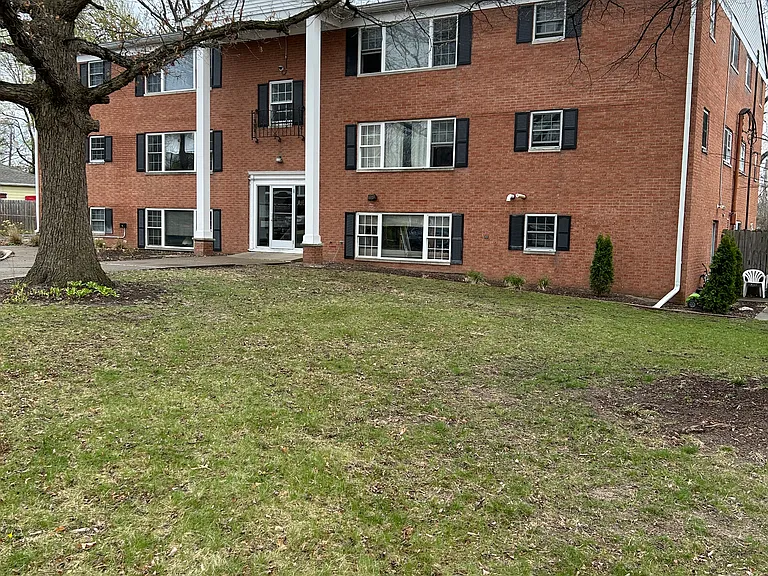 FRONT VIEW - GREENING UP NICELY FOR BING OUTDOORS
