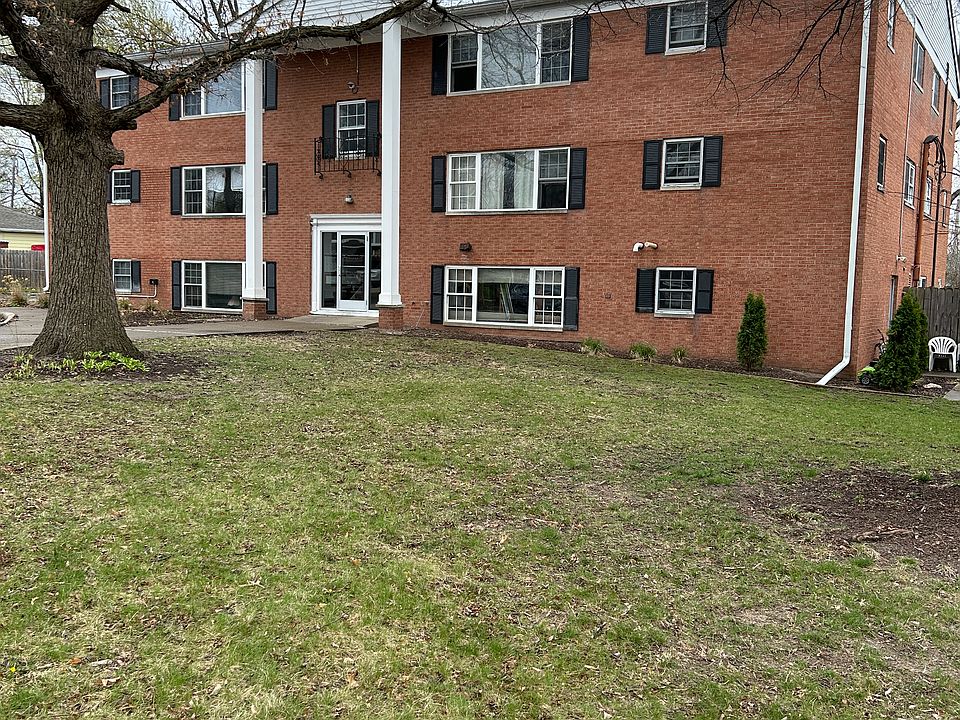 FRONT VIEW - GREENING UP NICELY FOR BING OUTDOORS