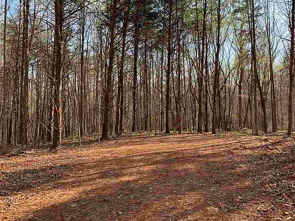 4th image of LOT 8 Eno Springs Dr Lot 8