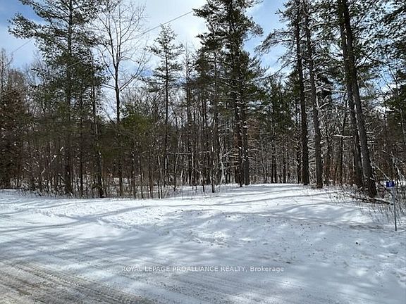 5th image of 97 Greenly Rd