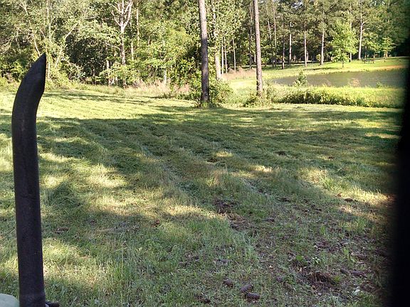 3rd image of 5 Acres In Hawkinsville-pulaski Co.