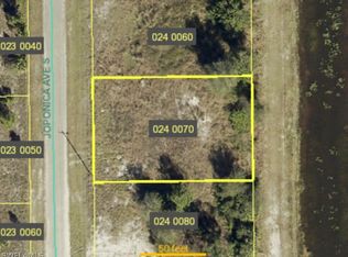 713 Joponica Ave S, Lehigh Acres, FL 33974