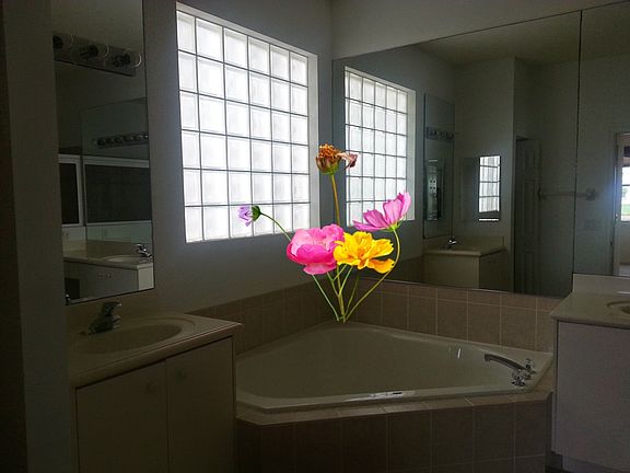 5th image of 7245 Cataluna Cir