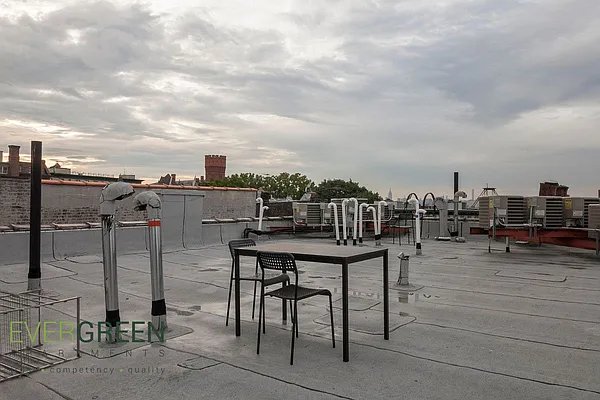 Rented by Evergreen Apartments BK | media 29