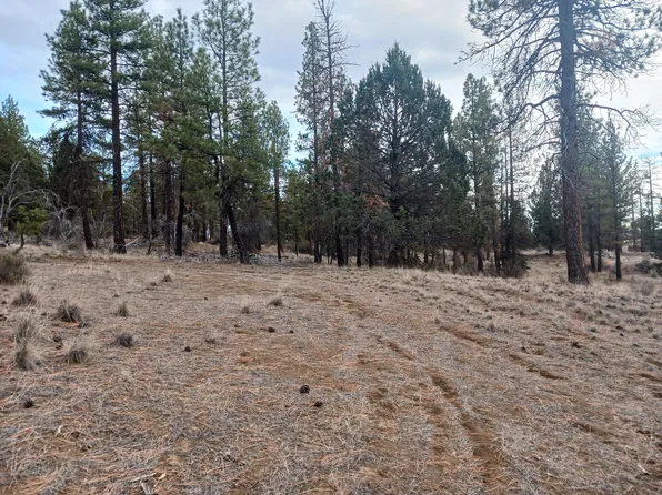 Moccasin Lane Lot 13 Block #50, Chiloquin, OR 97624