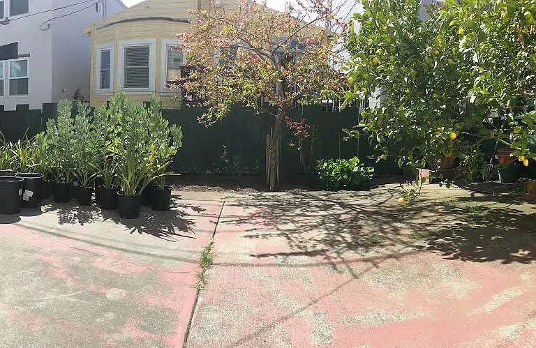 Cecilia Ave — Photo 3