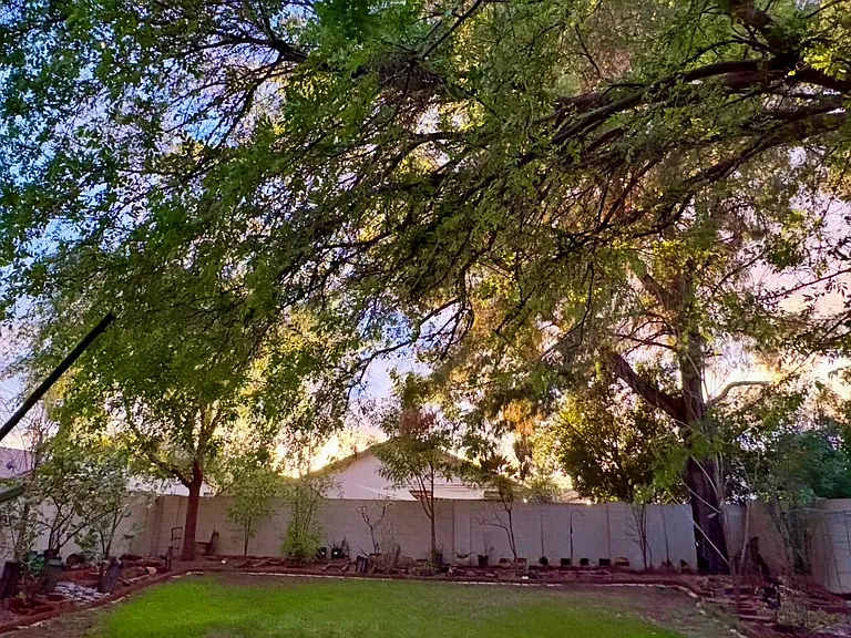 326 N Pioneer St — Photo 38