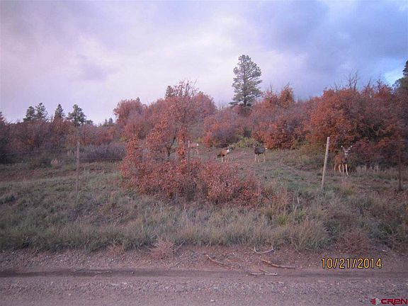 5th image of 840 Simmons Dr
