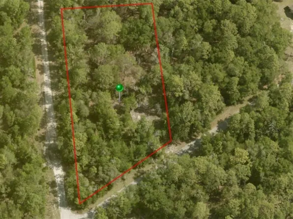 7697 W Crystal River Pl, Dunnellon, FL 34433