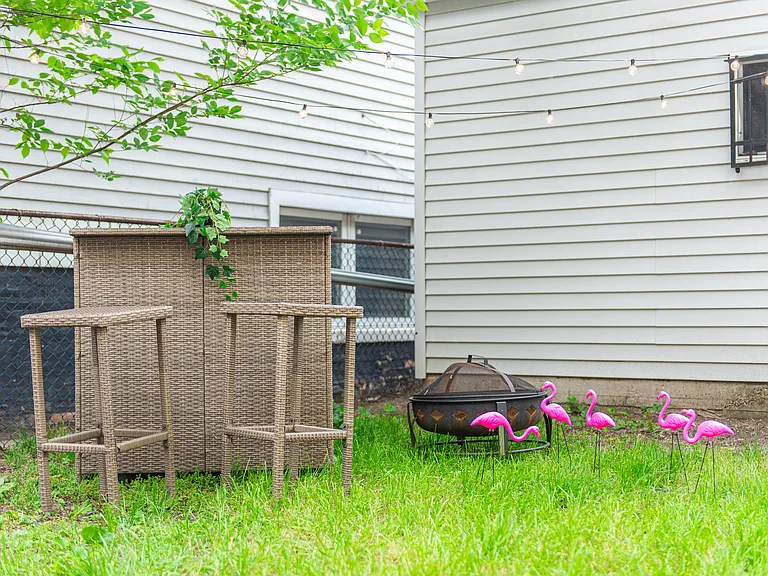 Back yard