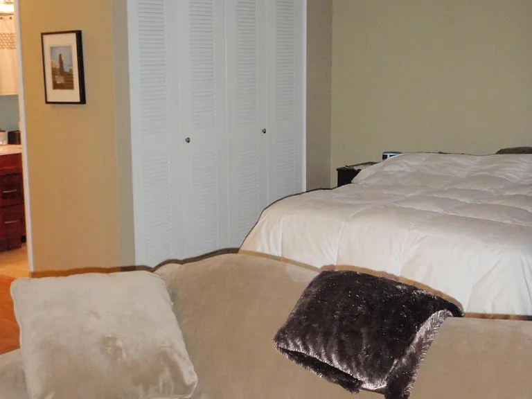 Fits a queen size bed and petite couch.