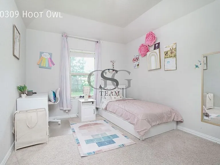 10309 Hoot Owl — Photo 2