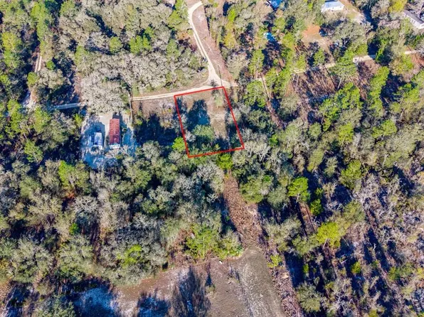000 NE 134th Ter, Williston, FL 32696