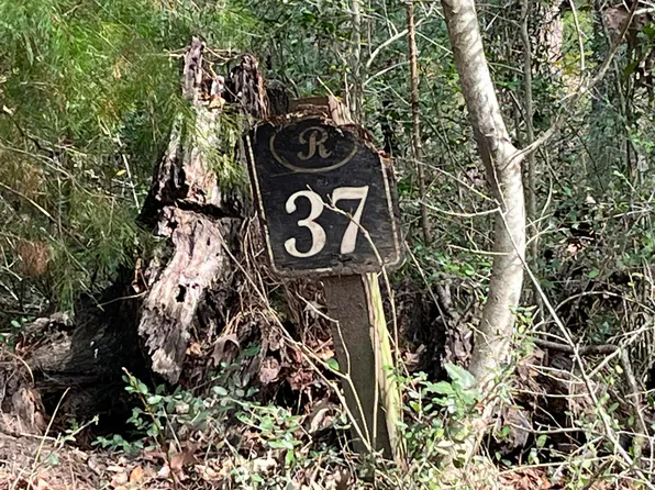 6149 Button Bush Dr, Ravenel, SC 29470