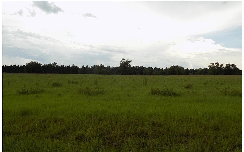 2nd image of Sw Highpoint Glen