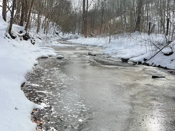 0 Haw Run, Ripley, WV 25271