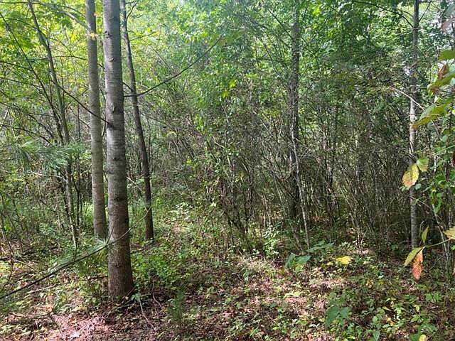 1st image of 0 E Dogwood Dr