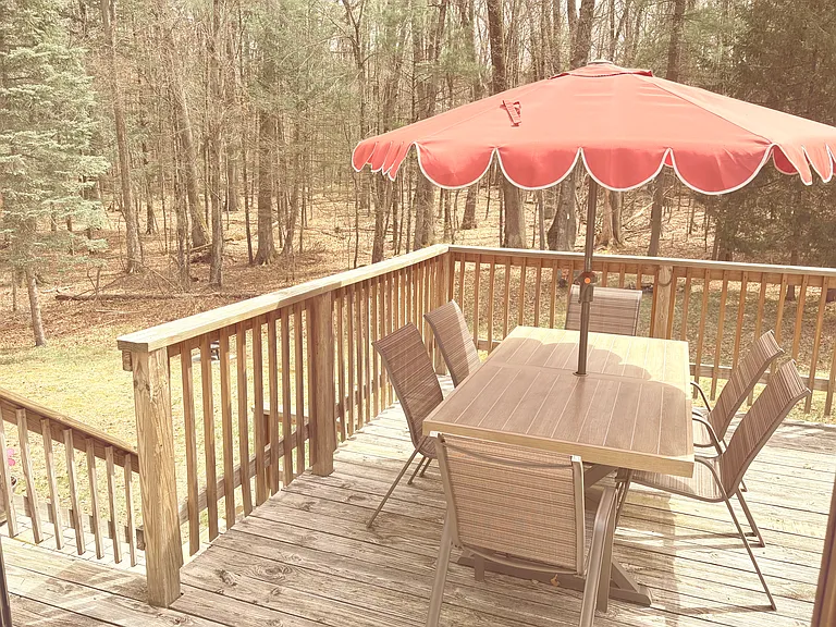 Huge private backyard backing up to majestic wooded land. Enjoy peaceful wildlife year_round, including turkeys, deer, squirrels, and a variety of beautiful birds.