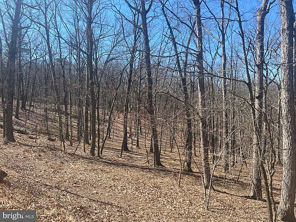 3rd image of 74 Oakwood Dr